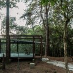 Embracing Nature: The Guaju Pavilion